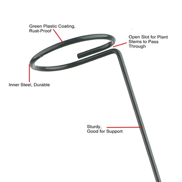 Single Stem Plant Support Stakes Steel Garden Stakes