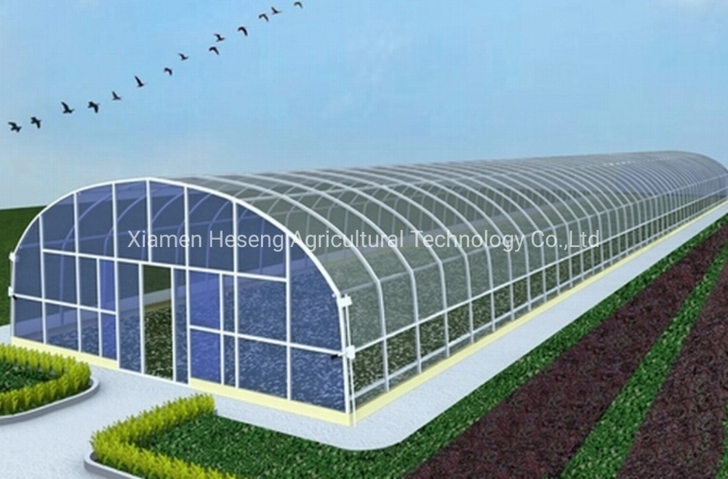 Cheap Agricultural Single Span Poly Film Tunnel Greenhouse with Irrigation and Hydroponics Growing System for Flower Vegetable Medical Plants