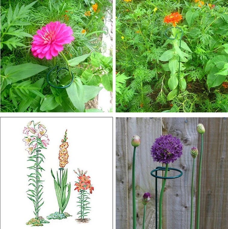 Single Stem Plant Support Stake Garden Flowers Stem Stake Metal Plant Support Stake