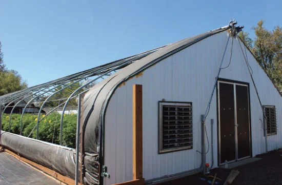 Landwirtschaftliche Single-Span-Tunnel-Gewächshausfolie aus Polycarbonat, USA, Kanada, Kindergartenreifen