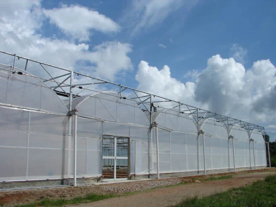 Günstiges landwirtschaftliches Einfeld-Polyfolien-Tunnelgewächshaus mit Bewässerungs- und Hydrokultur-Anbausystem für Blumengemüse-Medizinpflanzen