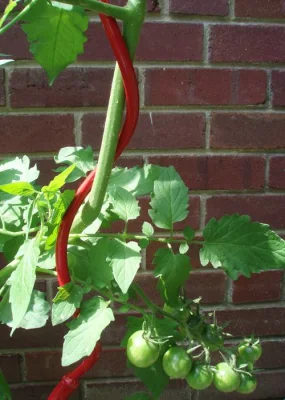 Hochwertiges Gartenpflanzenspalier, Tomaten-Spiralstütze, Spiralpfähle für den Pflanzenanbau, Metalldraht-Tomatenpfahl