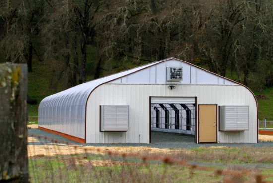 Kostengünstige landwirtschaftliche Einzeltunnelhaus-Kunststofffoliengewächshäuser für Tomaten/Paprika/Auberginen/Erdbeeren/Gurken